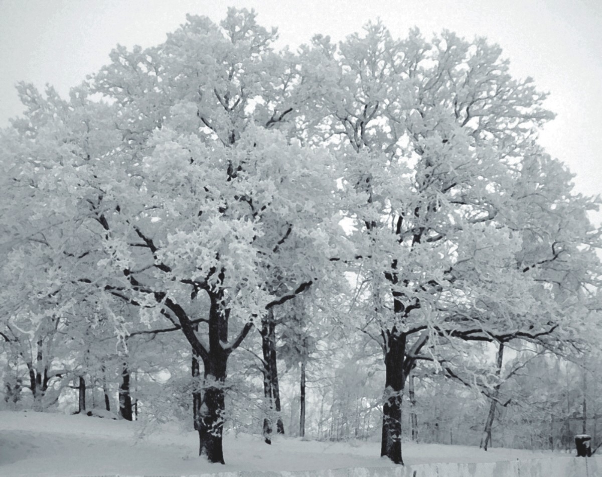 Image result for зима в россии фотографии